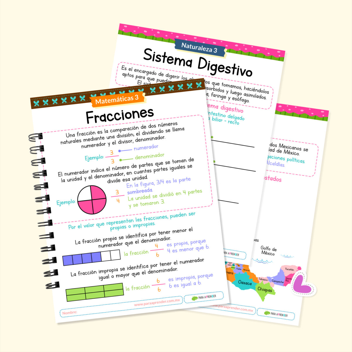 3° De Primaria NEM Guía De Repaso En PDF Con 70 Páginas